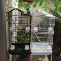 Bird Cage Parrot CageCanary Parakeet Cockatiel LoveBird Finch Bird Cage with Wood Perches & Food Cups The Bird Cage of 39"