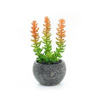 Artificial Cactus Bonsai Home Balcony Decoration Faux Succulents Environmentally Realistic And Natural Fake Flower Vase
