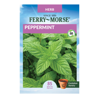 Ferry-Morse Peppermint Seeds - Since 1856, Non-GMO, Guaranteed Fresh, Herb Gardening Seeds