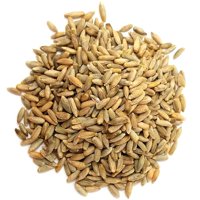Organic Rye Berries, 20 Pounds - Whole Wheat Grain, Non-GMO, Kosher, Raw, Bulk Seeds, Product of the USA by Food to Live