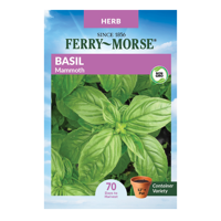 Ferry-Morse Mammoth Basil Seeds - Since 1856, Non-GMO, Guaranteed Fresh, Herb Gardening Seeds