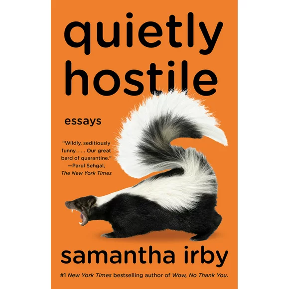 Quietly Hostile : Essays (Paperback)