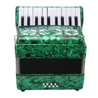 Tebru Accordion Instrument,Accordion 22 Keys 8 Bass Celluloid Musical Instrument Toy for Home Stage Performance,Hand Accordion
