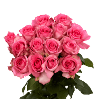 50 Stems of Priceless Roses- Fresh Flower Delivery