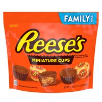 REESE'S Miniatures Milk Chocolate Peanut Butter Cups Candy, Individually Wrapped, 17.6 oz, Family Bag