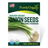 Purely Organic Heirloom Onion Seeds (Bunching Evergreen) - Approx 250 Seeds