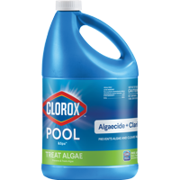 Clorox Pool&Spa Algaecide + Clarifier for Swimming Pools, 1 Gallon