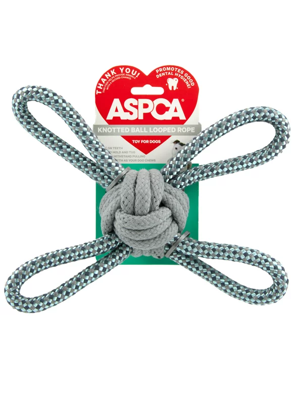 ASPCA Knotted Ball Looped Rope Dog Toy in Aqua
