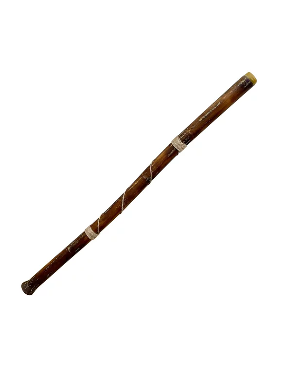 Hand-fired Modern Didgeridoo - Beeswax Mouthpiece - Easy Player! - Key of D