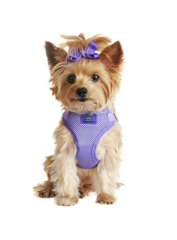 Wrap and Snap Choke Free Dog Harness - Paisley Purple