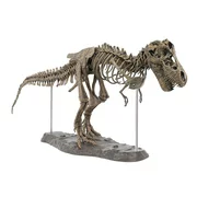 Tyrannosaurus Rex Skeleton Dinosaur T Rex Animal Model Toys Collector Super Decoration;Tyrannosaurus Rex Skeleton Dinosaur T Rex Animal Model Toys Decoration
