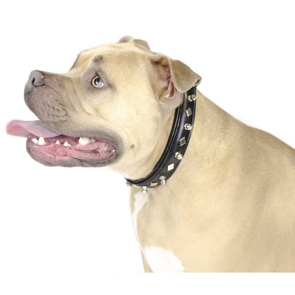 Derby Dog Designer Series USA Leather Spikes and Diamond Padded Dog Collar - 8"