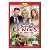 A Godwink Christmas: Meant for Love (DVD)