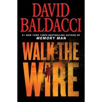 Walk the Wire (Amos Decker Series #6)