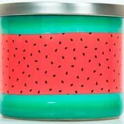 Mainstays Outdoor Watermelon Citronella Candle, 14 oz