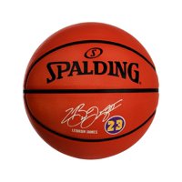 Spalding LeBron James 29.5" Outdoor Basketball