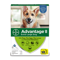 Advantage II Flea Treatment for Extra Large Dogs