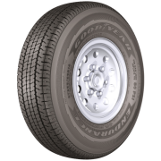 Goodyear Endurance All-Season ST225/75R15 117N Tire
