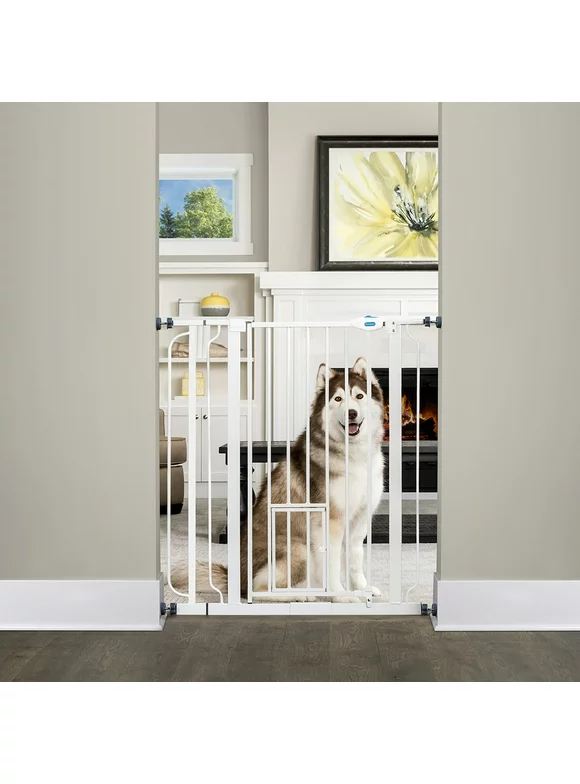 Carlson Pet Products Extra Tall Walk-thru Gate, With Smaller Door, 36" Tall, Extends between 29"-36" Wide