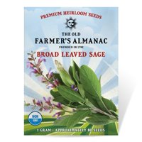 The Old Farmer's Almanac Sage Seeds (Broad Leaved Sage) - Approx 80 Seeds