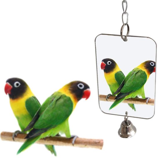 Besufy Pet Bird Toy Parrot Bird Parakeet Hanging Mirror Bell Play Toy Cage Decoration Supplies