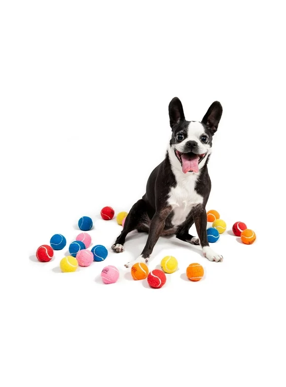 Midlee Mini Dog Tennis Balls Assorted Colors with Squeaker- 25 Pack