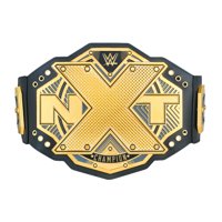 Official WWE Authentic NXT Championship Toy Title Belt Gold
