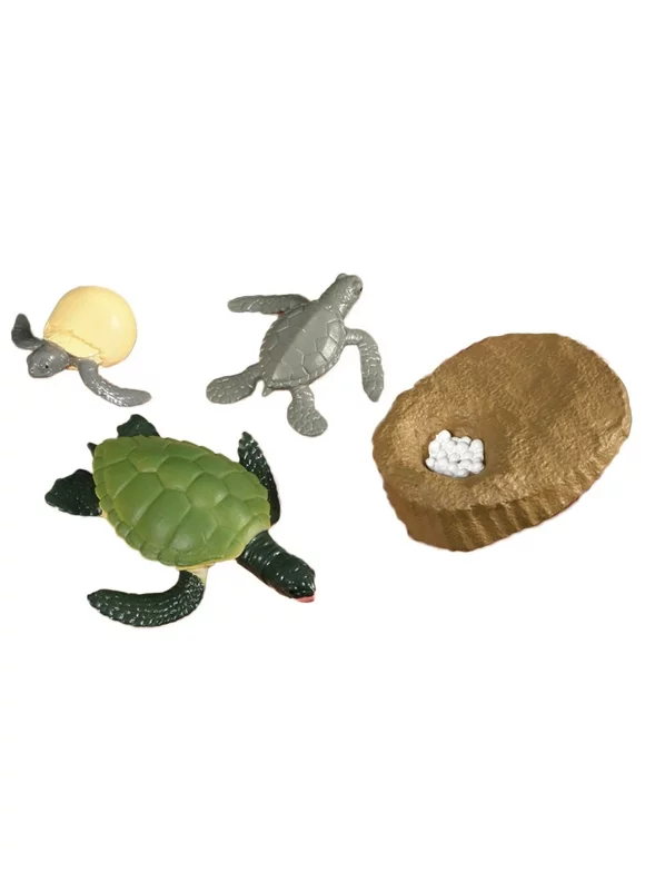 Animals Growth Cycle Life Cycle Model Set Ant Mosquito Sea Turtle Simulation Model Action Figures Teaching Toys For Kids