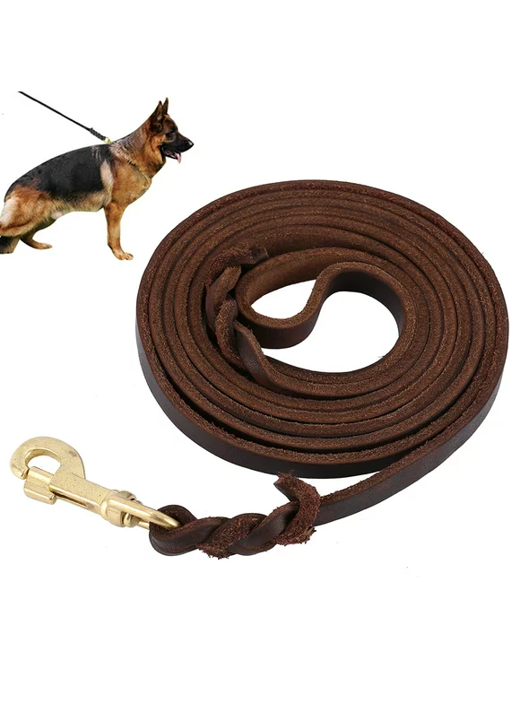 Braided Leather Dog Leash 6/8/10 ft for Strong Medium Large Dogs, Large or Medium Dog Adjustable Training Leash (10FT)