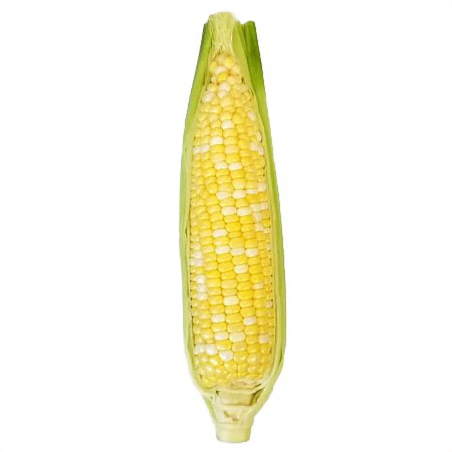 Fresh Corn on the Cob, color varies, each