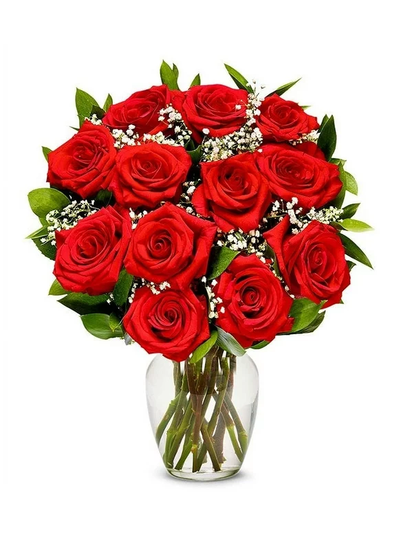 From You Flowers - One Dozen Long Stemmed Red Roses (Fresh Flowers)