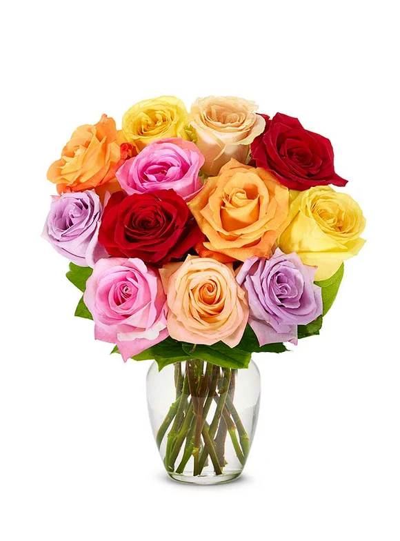 From You Flowers - One Dozen Rainbow Red, Orange, Pink, Purple, Yellow Roses  with Free Vase (Fresh Flowers)
