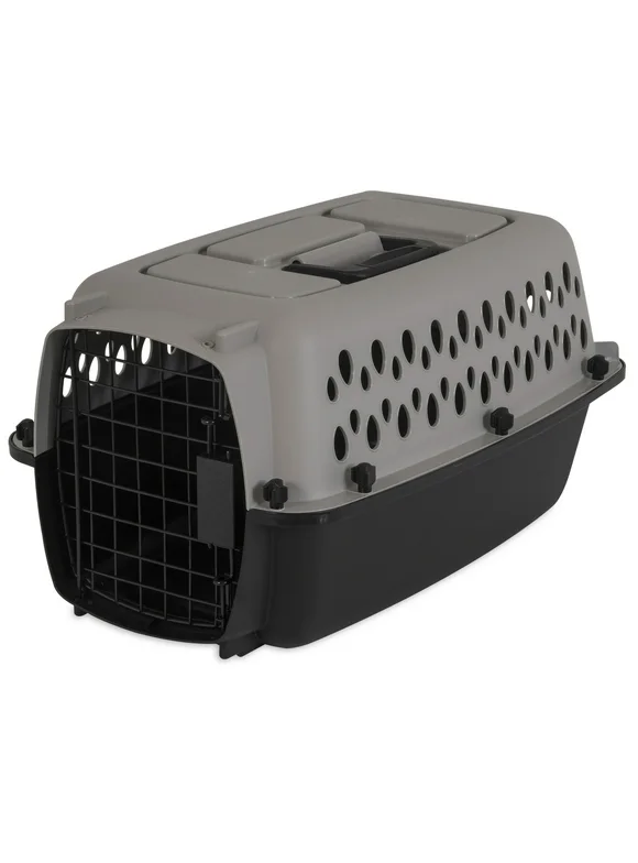 Vibrant Life Pet Kennel 19" X-Small Plastic Dog Crate Portable Carrier for Pets Up To 10 lbs